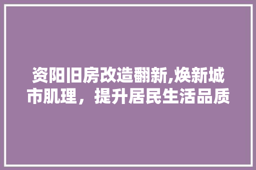 资阳旧房改造翻新,焕新城市肌理，提升居民生活品质