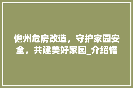 儋州危房改造，守护家园安全，共建美好家园_介绍儋州危房改造电话及其重要作用