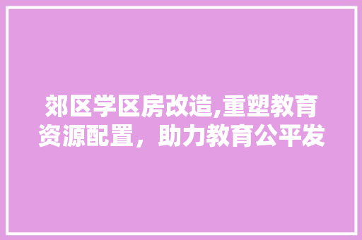 郊区学区房改造,重塑教育资源配置，助力教育公平发展