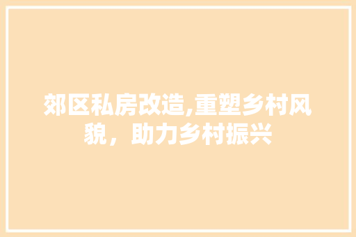 郊区私房改造,重塑乡村风貌，助力乡村振兴 装修材料