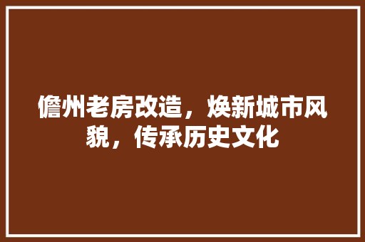 儋州老房改造，焕新城市风貌，传承历史文化