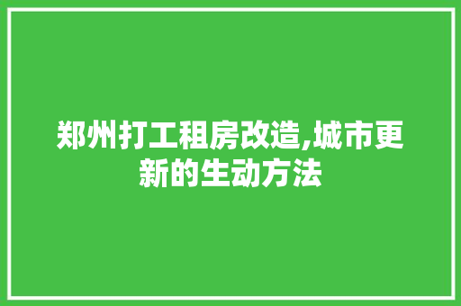 郑州打工租房改造,城市更新的生动方法