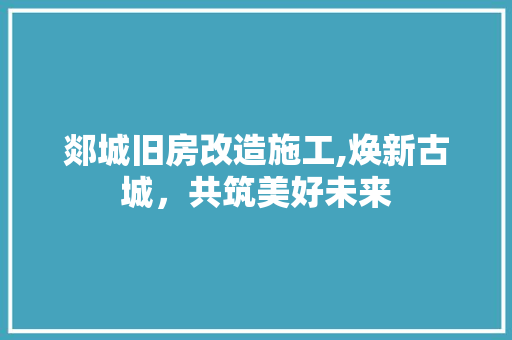 郯城旧房改造施工,焕新古城,共筑美好未来 门窗装修 郯城旧房改造施工,焕新古城,共筑美好未来 门窗装修