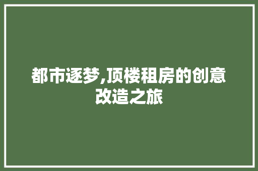 都市逐梦,顶楼租房的创意改造之旅 门窗装修