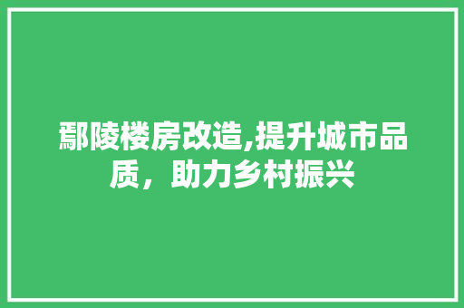 鄢陵楼房改造,提升城市品质，助力乡村振兴 庭院装修