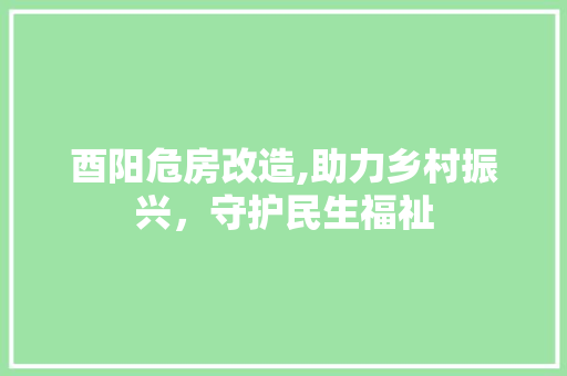 酉阳危房改造,助力乡村振兴，守护民生福祉