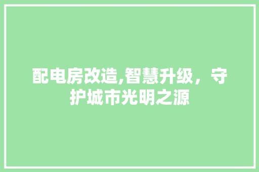 配电房改造,智慧升级，守护城市光明之源