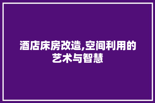 酒店床房改造,空间利用的艺术与智慧 庭院装修