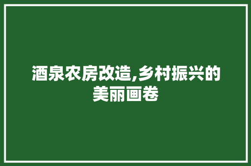 酒泉农房改造,乡村振兴的美丽画卷
