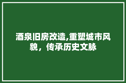 酒泉旧房改造,重塑城市风貌，传承历史文脉