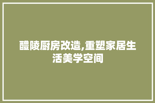 醴陵厨房改造,重塑家居生活美学空间