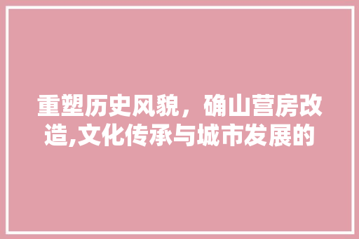 重塑历史风貌，确山营房改造,文化传承与城市发展的完美融合