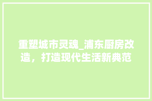 重塑城市灵魂_浦东厨房改造，打造现代生活新典范
