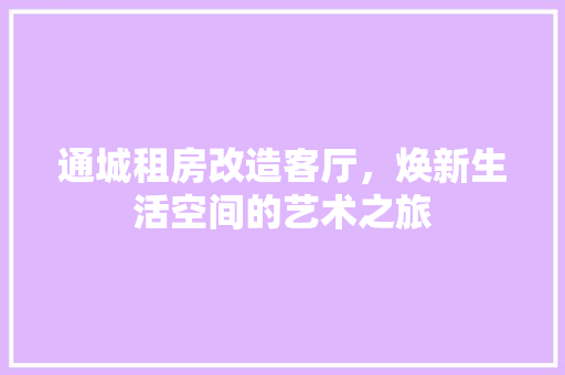 通城租房改造客厅，焕新生活空间的艺术之旅 地面装修