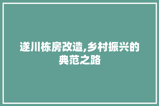遂川栋房改造,乡村振兴的典范之路 门窗装修
