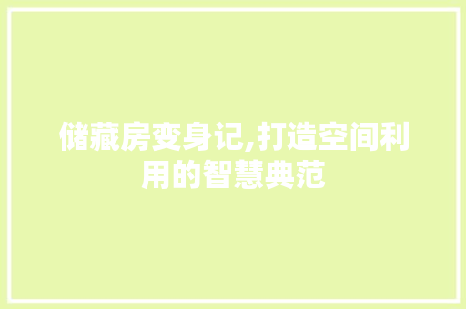 储藏房变身记,打造空间利用的智慧典范