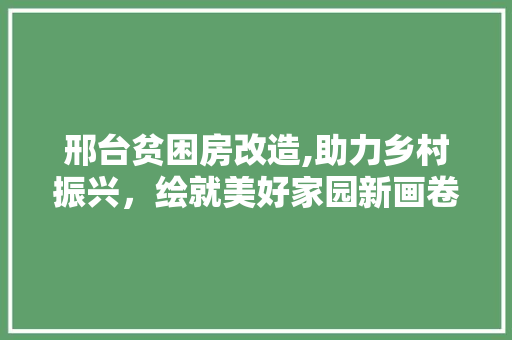 邢台贫困房改造,助力乡村振兴，绘就美好家园新画卷