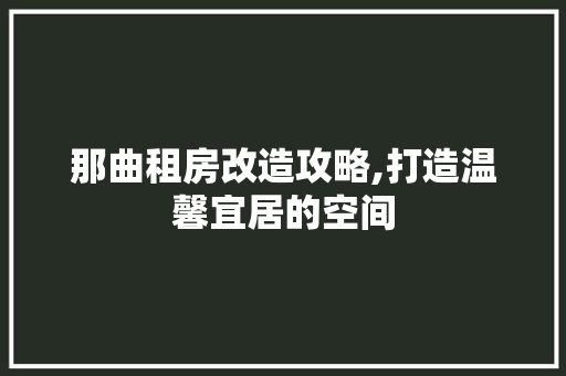 那曲租房改造攻略,打造温馨宜居的空间
