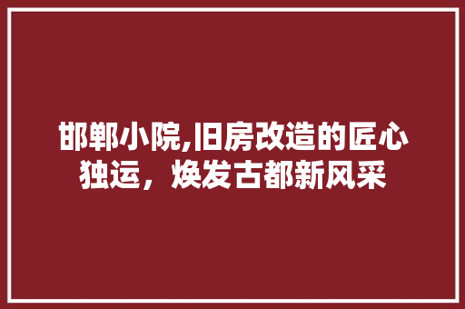 邯郸小院,旧房改造的匠心独运，焕发古都新风采
