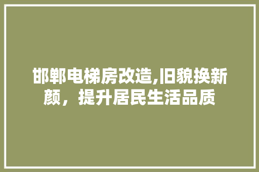 邯郸电梯房改造,旧貌换新颜，提升居民生活品质 装修攻略