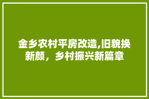 金乡农村平房改造,旧貌换新颜，乡村振兴新篇章