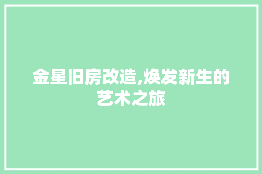 金星旧房改造,焕发新生的艺术之旅 墙面装饰