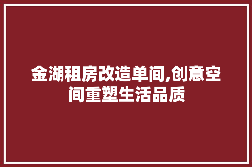 金湖租房改造单间,创意空间重塑生活品质