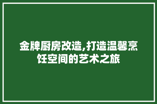 金牌厨房改造,打造温馨烹饪空间的艺术之旅