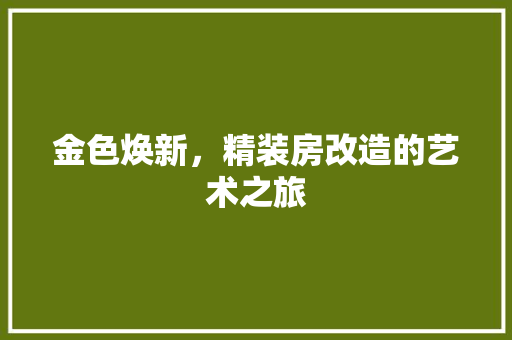 金色焕新，精装房改造的艺术之旅