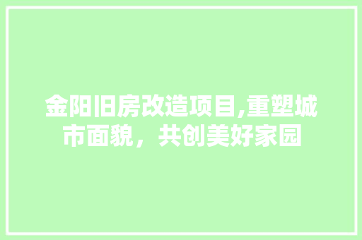 金阳旧房改造项目,重塑城市面貌，共创美好家园