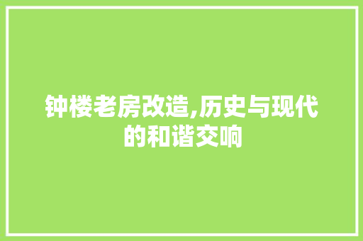 钟楼老房改造,历史与现代的和谐交响 门窗装修