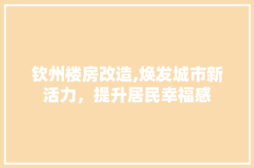 钦州楼房改造,焕发城市新活力，提升居民幸福感