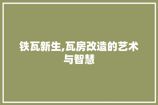 铁瓦新生,瓦房改造的艺术与智慧
