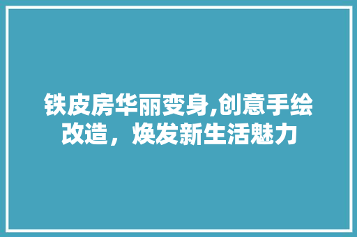 铁皮房华丽变身,创意手绘改造，焕发新生活魅力