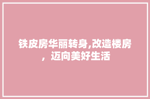 铁皮房华丽转身,改造楼房，迈向美好生活
