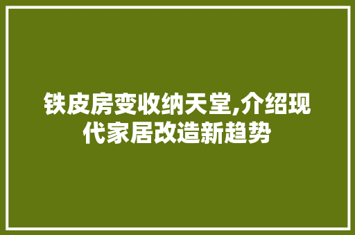 铁皮房变收纳天堂,介绍现代家居改造新趋势