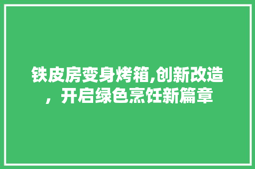 铁皮房变身烤箱,创新改造，开启绿色烹饪新篇章 景观设计