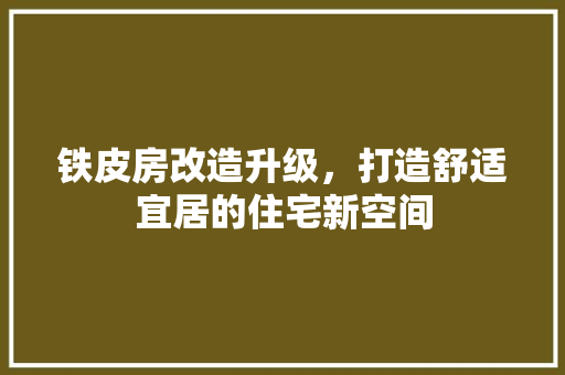 铁皮房改造升级，打造舒适宜居的住宅新空间