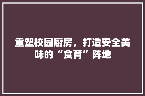 重塑校园厨房，打造安全美味的“食育”阵地