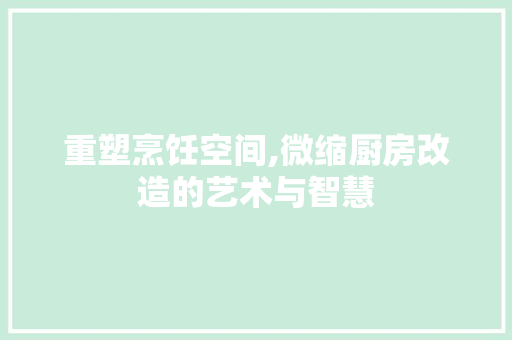 重塑烹饪空间,微缩厨房改造的艺术与智慧