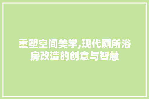 重塑空间美学,现代厕所浴房改造的创意与智慧 门窗装修