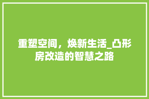 重塑空间，焕新生活_凸形房改造的智慧之路