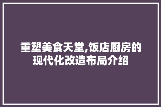 重塑美食天堂,饭店厨房的现代化改造布局介绍