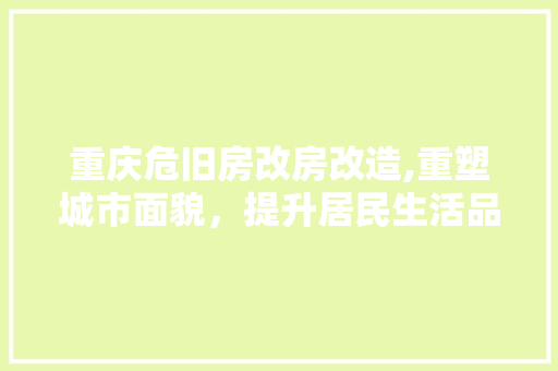 重庆危旧房改房改造,重塑城市面貌，提升居民生活品质