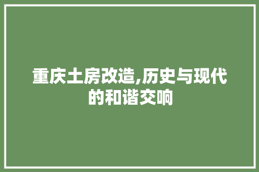 重庆土房改造,历史与现代的和谐交响