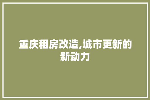 重庆租房改造,城市更新的新动力