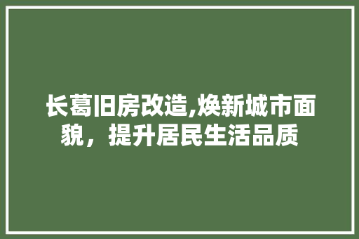 长葛旧房改造,焕新城市面貌，提升居民生活品质