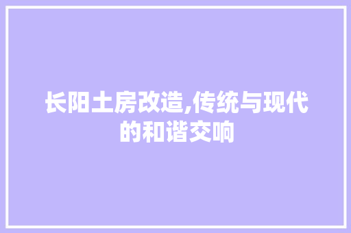 长阳土房改造,传统与现代的和谐交响 地面装修