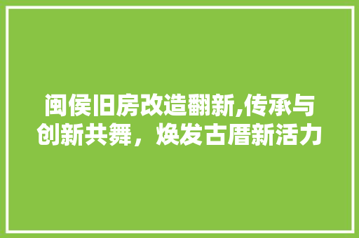 闽侯旧房改造翻新,传承与创新共舞，焕发古厝新活力