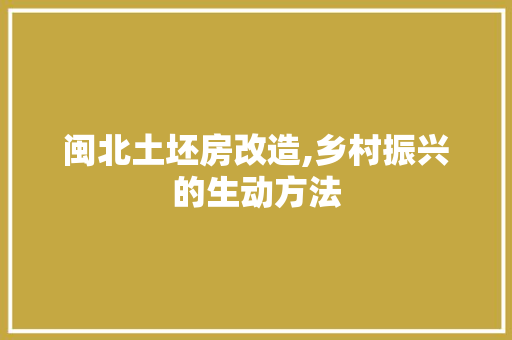 闽北土坯房改造,乡村振兴的生动方法